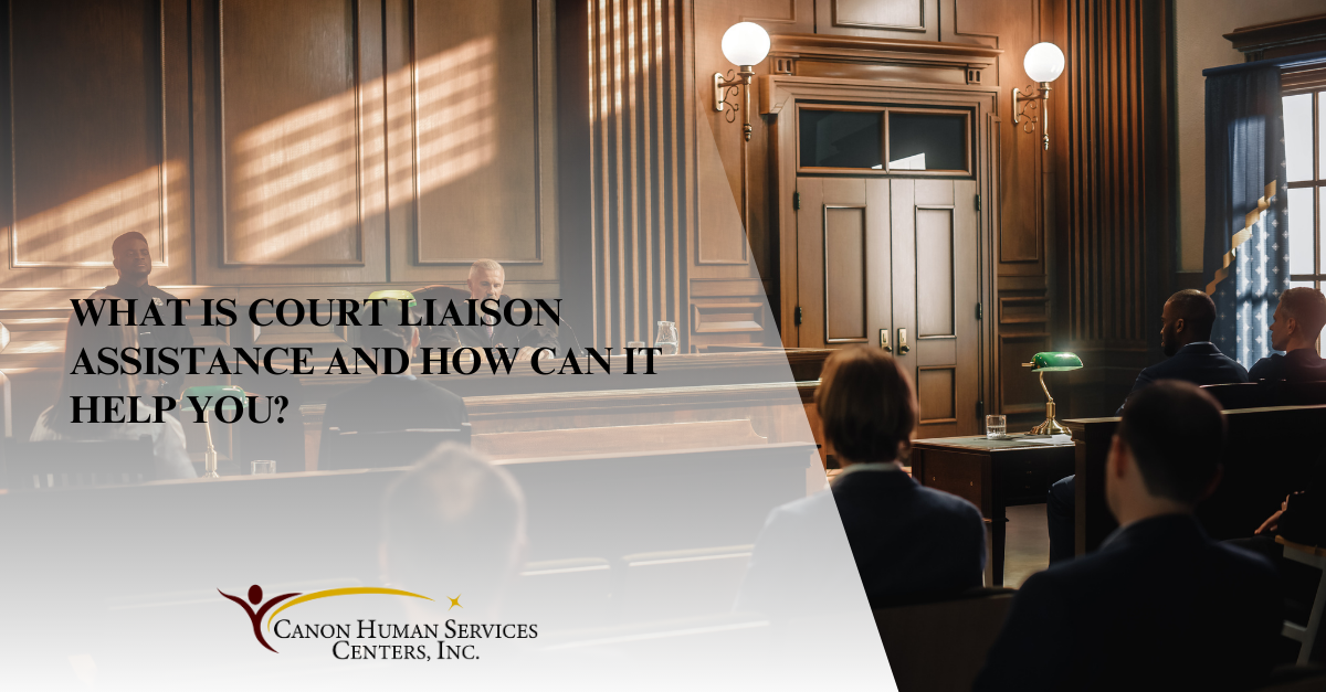 what is court liaison assistance and how can it help you