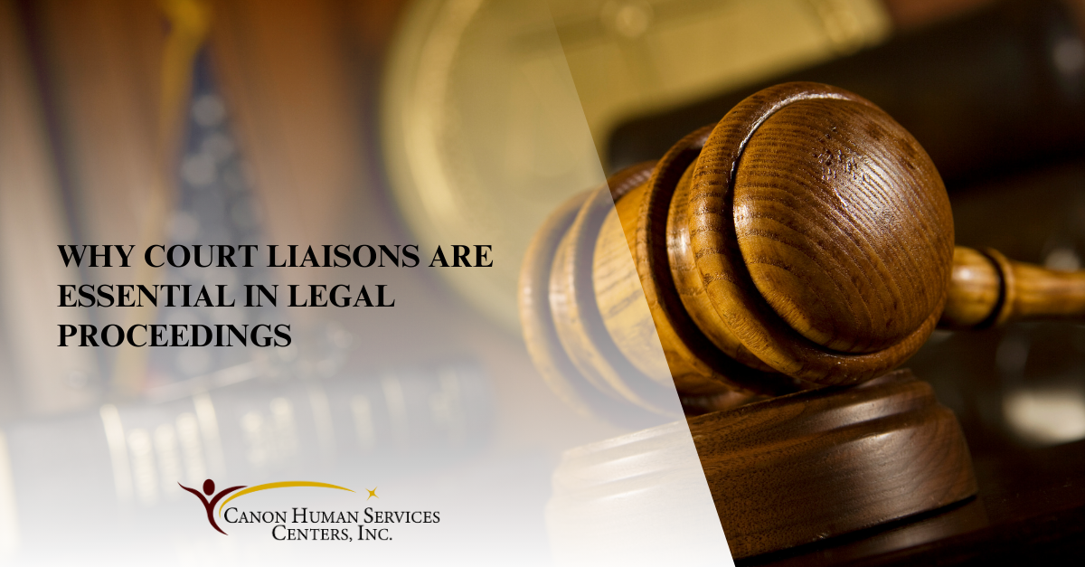 why court liaisons are essential in legal proceedings